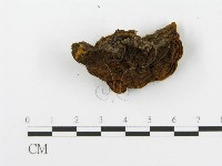 登錄號:F0010597藏品圖，第5張