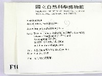 毛木耳藏品圖，第2張