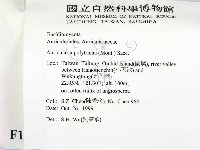 毛木耳藏品圖，第2張