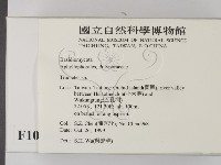 栓菌屬藏品圖，第2張