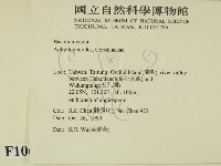 登錄號:F0010601藏品圖，第2張