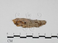 登錄號:F0010601藏品圖，第1張