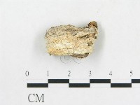 登錄號:F0010602藏品圖，第1張