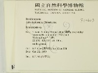 登錄號:F0010603藏品圖，第2張