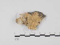 登錄號:F0010604藏品圖，第1張