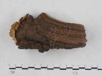 登錄號:F0010606藏品圖，第1張