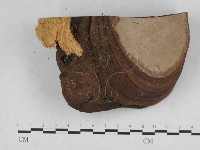 登錄號:F0010606藏品圖，第4張