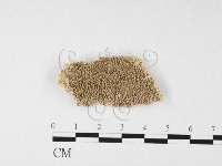 登錄號:F0010607藏品圖，第1張