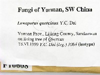 登錄號:F0010608藏品圖，第2張