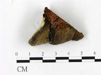 登錄號:F0010608藏品圖，第1張