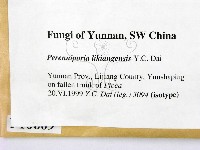 登錄號:F0010609藏品圖，第2張