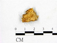 登錄號:F0010609藏品圖，第1張