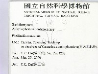 登錄號:F0010610藏品圖，第2張