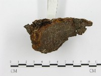 登錄號:F0010610藏品圖，第4張
