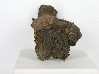 登錄號:F0010610藏品圖，第6張