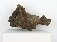 登錄號:F0010610藏品圖，第7張