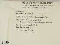 登錄號:F0010612藏品圖，第2張