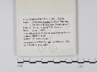 登錄號:F0010612藏品圖，第3張