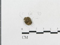 登錄號:F0010613藏品圖，第1張