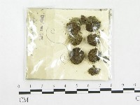 登錄號:F0010613藏品圖，第3張