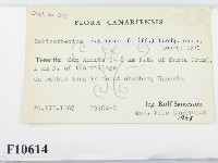 登錄號:F0010614藏品圖，第2張