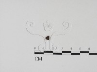 登錄號:F0010615藏品圖，第1張