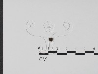 登錄號:F0010615藏品圖，第3張