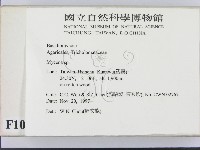 小菇屬藏品圖，第2張