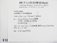 登錄號:F0010618藏品圖，第2張