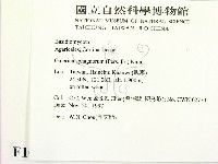 登錄號:F0010620藏品圖，第2張