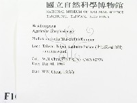 登錄號:F0010626藏品圖，第2張