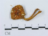 登錄號:F0010626藏品圖，第3張