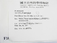 登錄號:F0010627藏品圖，第2張