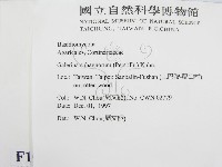 登錄號:F0010629藏品圖，第2張