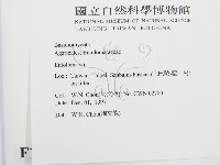 粉褶菌屬藏品圖，第2張