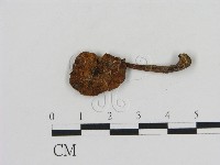 登錄號:F0010631藏品圖，第1張