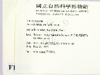 毛木耳藏品圖，第2張