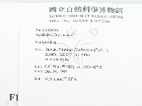 登錄號:F0010635藏品圖，第2張