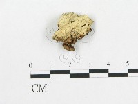 登錄號:F0010635藏品圖，第1張