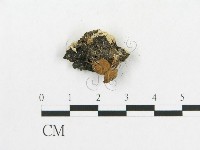 登錄號:F0010635藏品圖，第3張