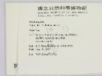 小菇屬藏品圖，第2張