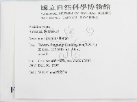 登錄號:F0010638藏品圖，第2張