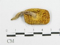 登錄號:F0010638藏品圖，第3張