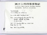 毛木耳藏品圖，第2張