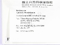 登錄號:F0010642藏品圖，第2張