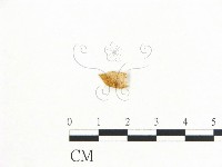 登錄號:F0010642藏品圖，第1張