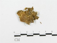 登錄號:F0010643藏品圖，第3張