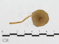 登錄號:F0010644藏品圖，第1張