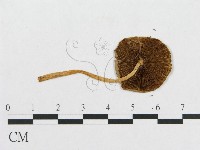 登錄號:F0010644藏品圖，第3張