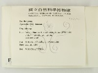 登錄號:F0010646藏品圖，第2張